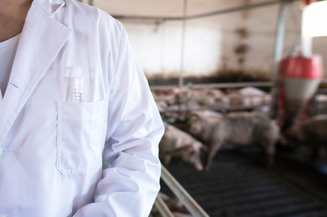 Veterinary-Technicians-featured