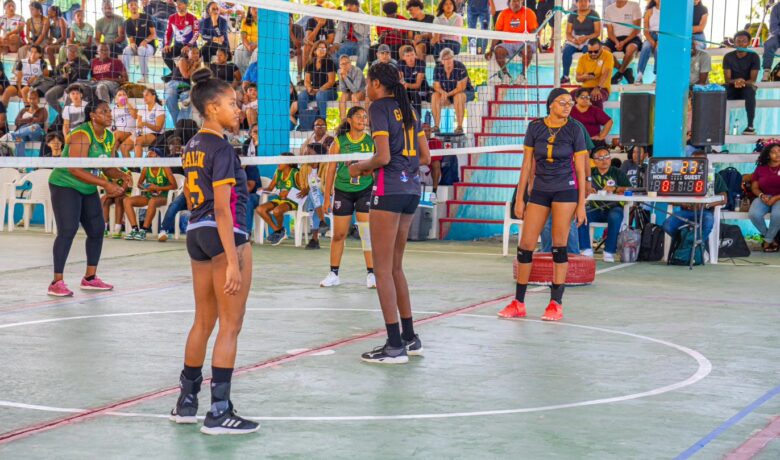 Lady Eagles Volleyball Team 10